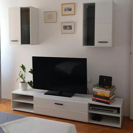 Apartment Srzic No1