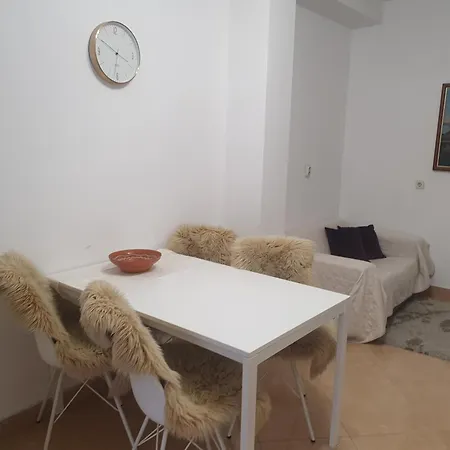 Apartment Srzic No1