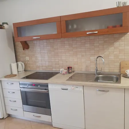 Apartment Srzic No1 *