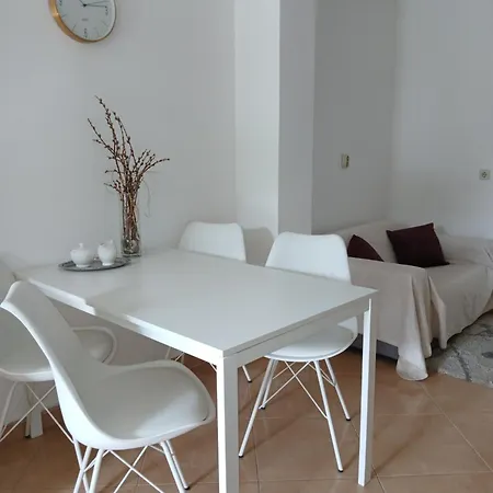 Apartment Srzic No1 *