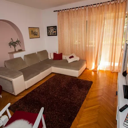 Apartment Srzic No1 *