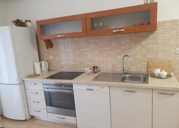 Apartman Srzic No1 *