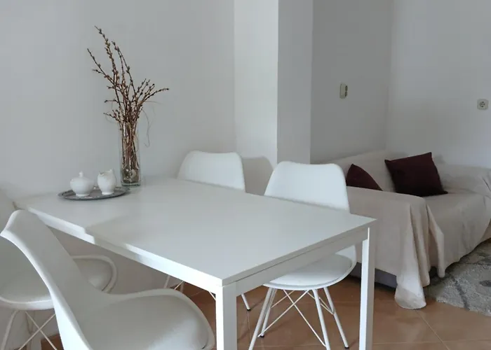 Apartman Srzic No1 *